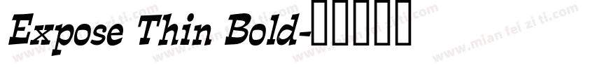 Expose Thin Bold字体转换
